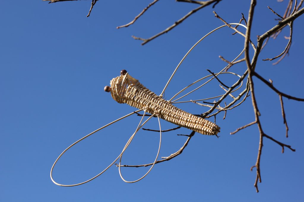 Libellule en osier