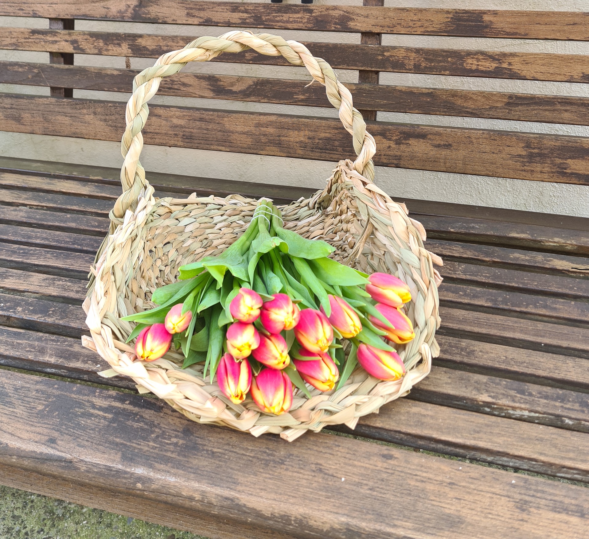 panier à cueillette