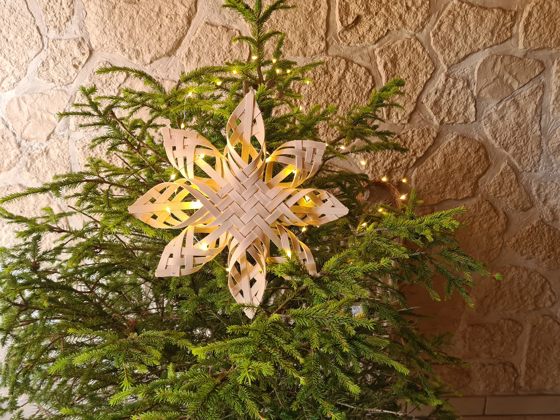 étoile de Noel